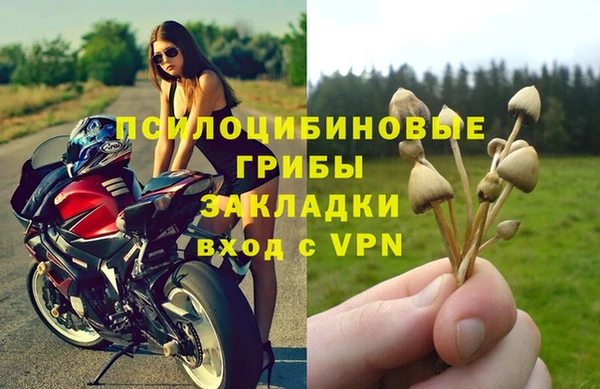 кокаин Каменногорск