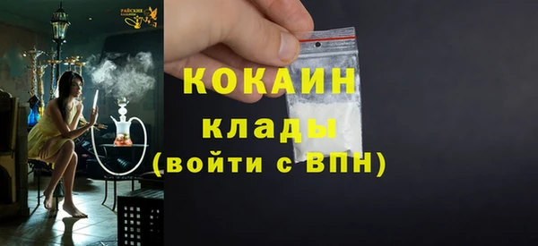 ALPHA PVP Каменка
