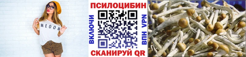 Галлюциногенные грибы прущие грибы  Купить где  Саранск 